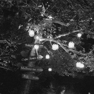 窝窝午夜看片七次郎青草视频
