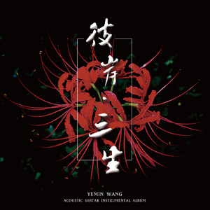 窝窝午夜看片七次郎青草视频
